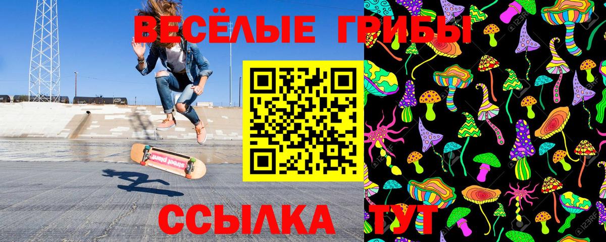 Галлюциногенные грибы GOLDEN TEACHER Александров